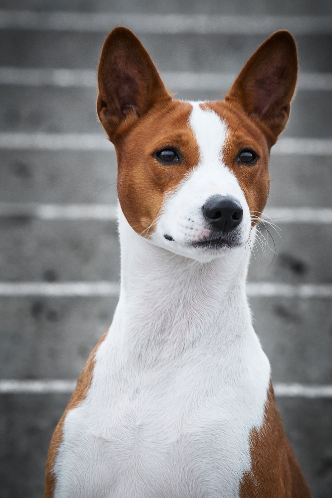 Фотография автора Вострецов Иван