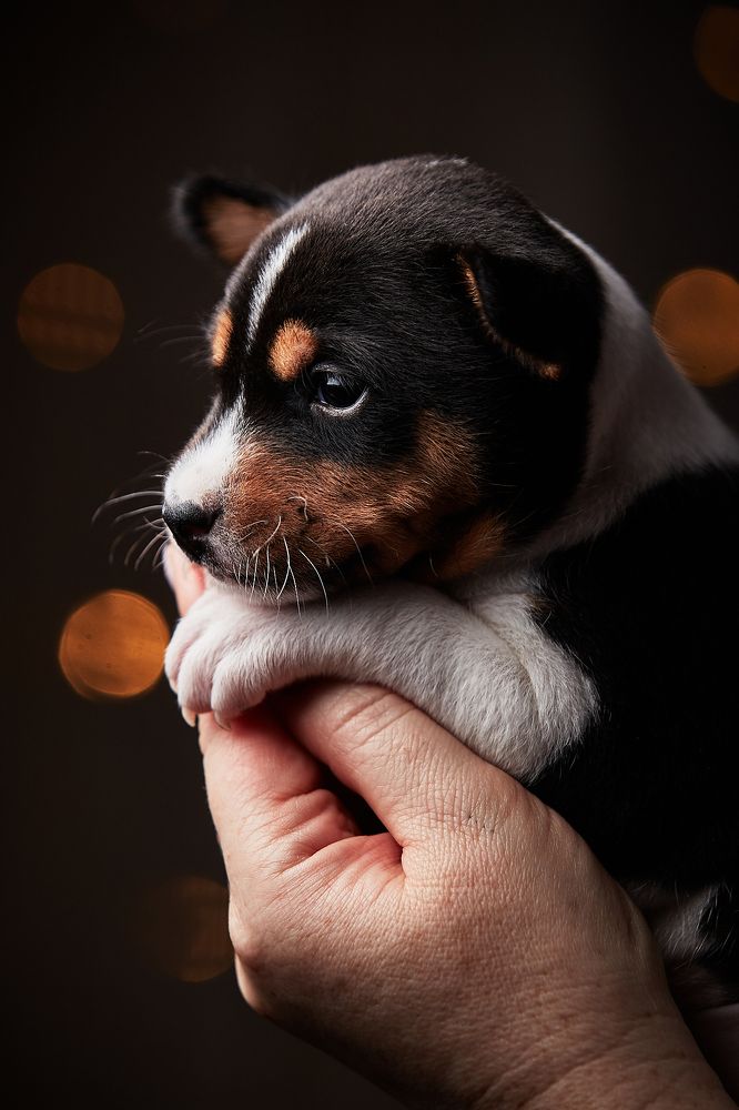 Фотография автора Вострецов Иван