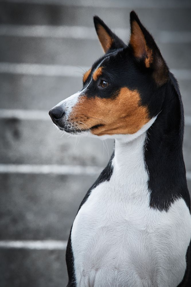 Фотография автора Вострецов Иван