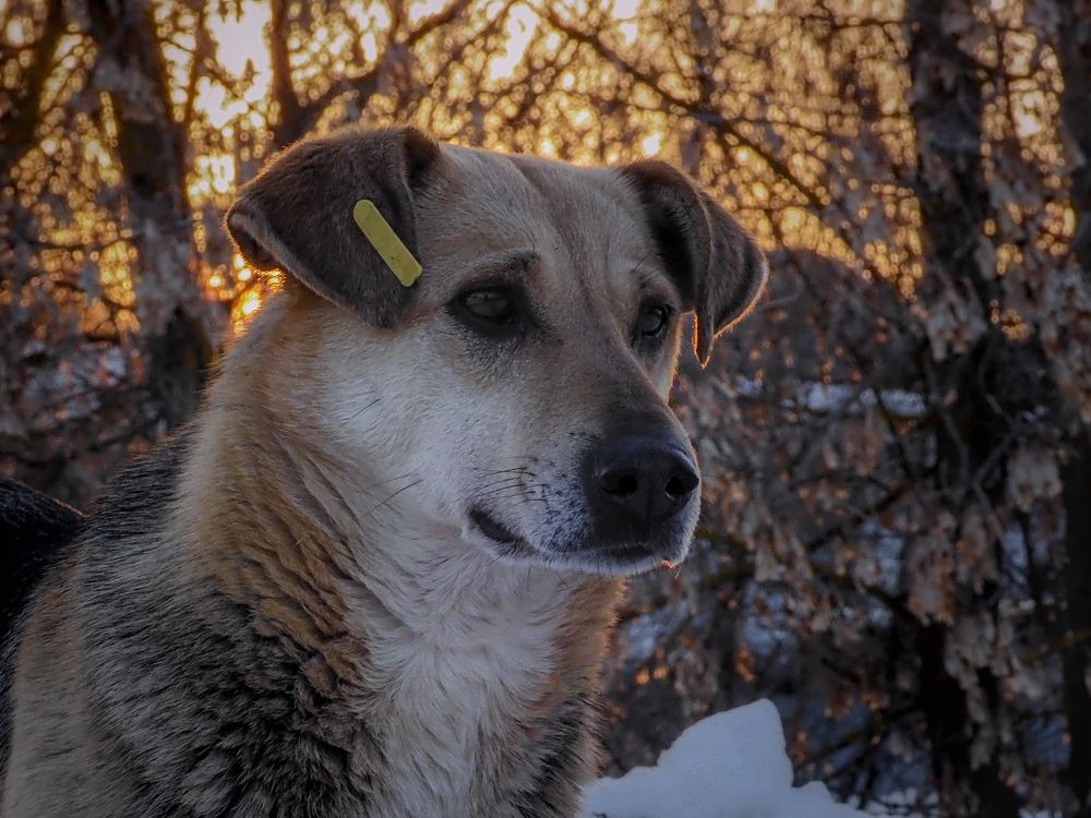 Photograph by Игорь Смирнов