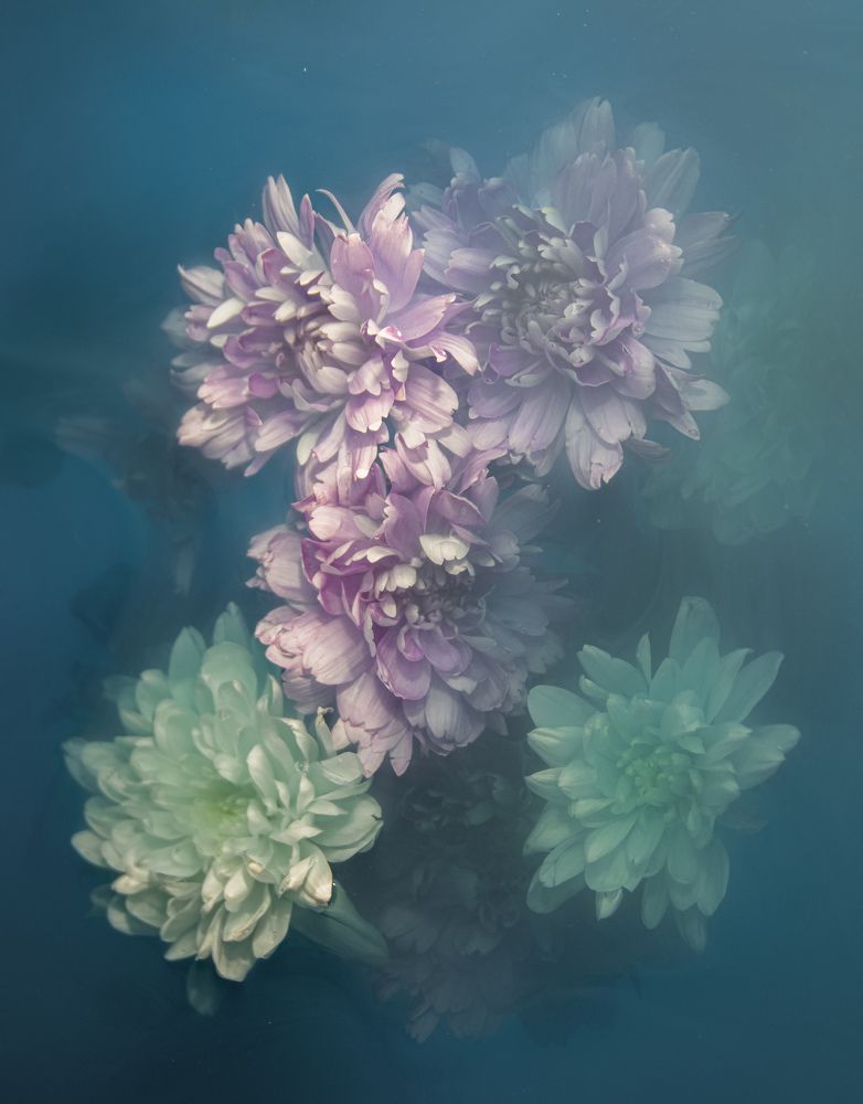 Photograph by Игорь Смирнов