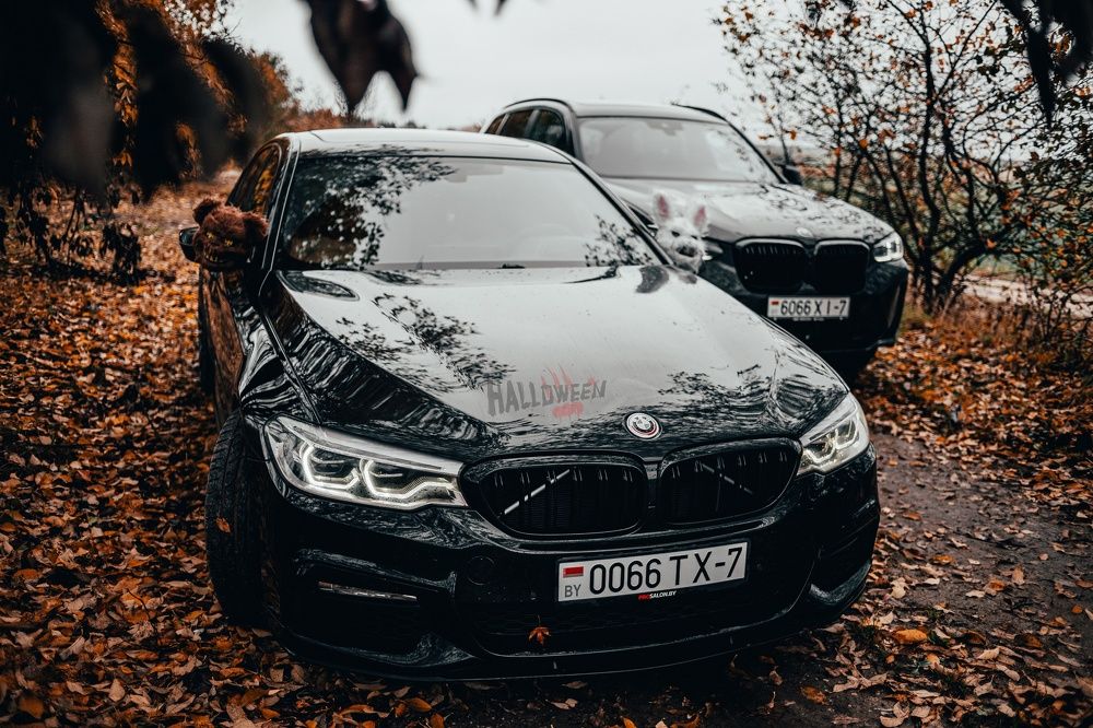 Фотография автора Владислав Шейко