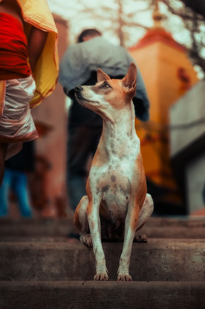 Photograph by Harsh Kanojiya