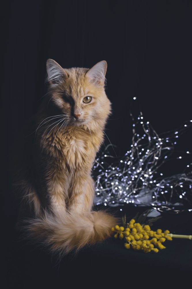 Photograph by Наталья Канарейкина