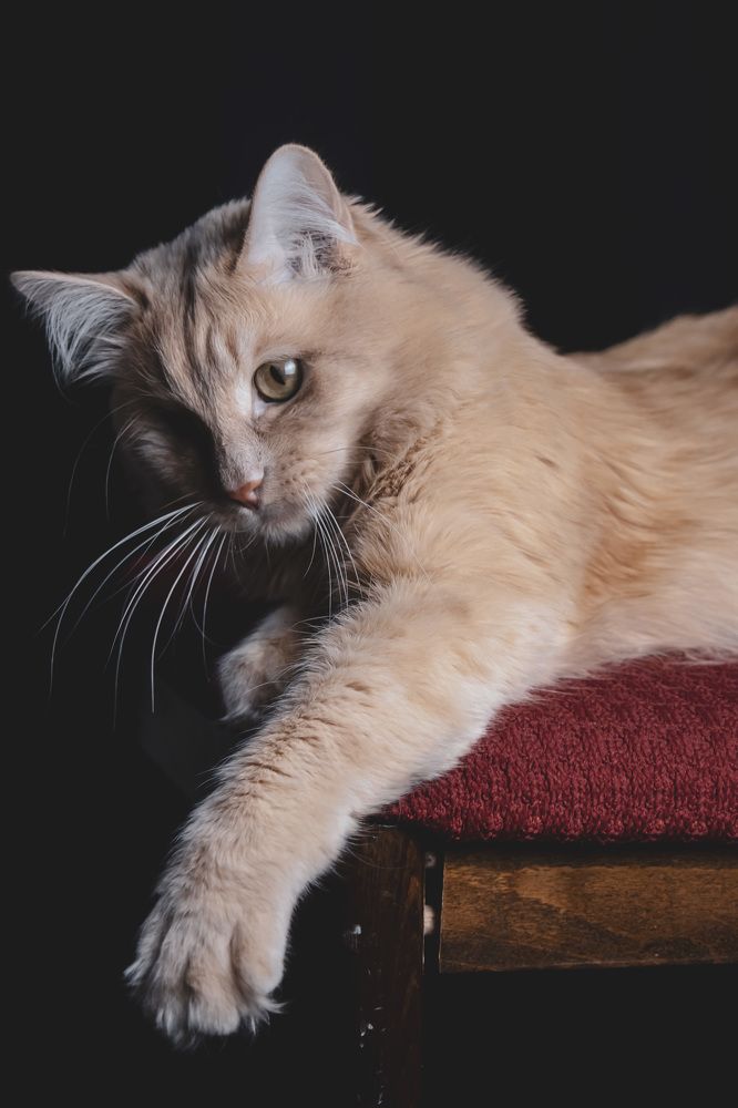 Photograph by Наталья Канарейкина