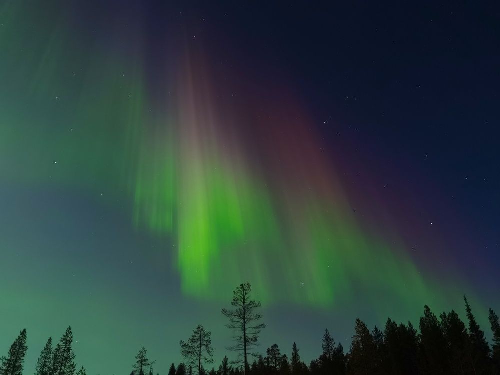 Photograph by Tanzilya Gabidullina