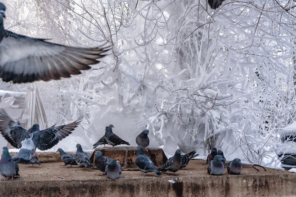 Photograph by Александр Колляков