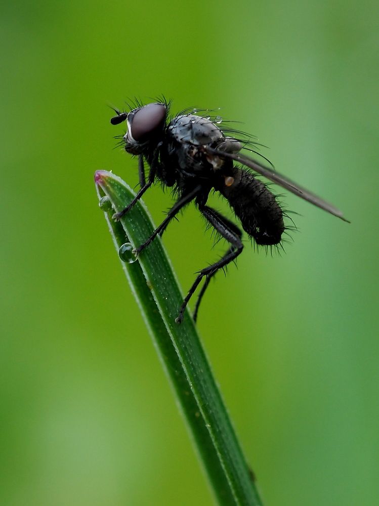 Photograph by Елена Харитонова