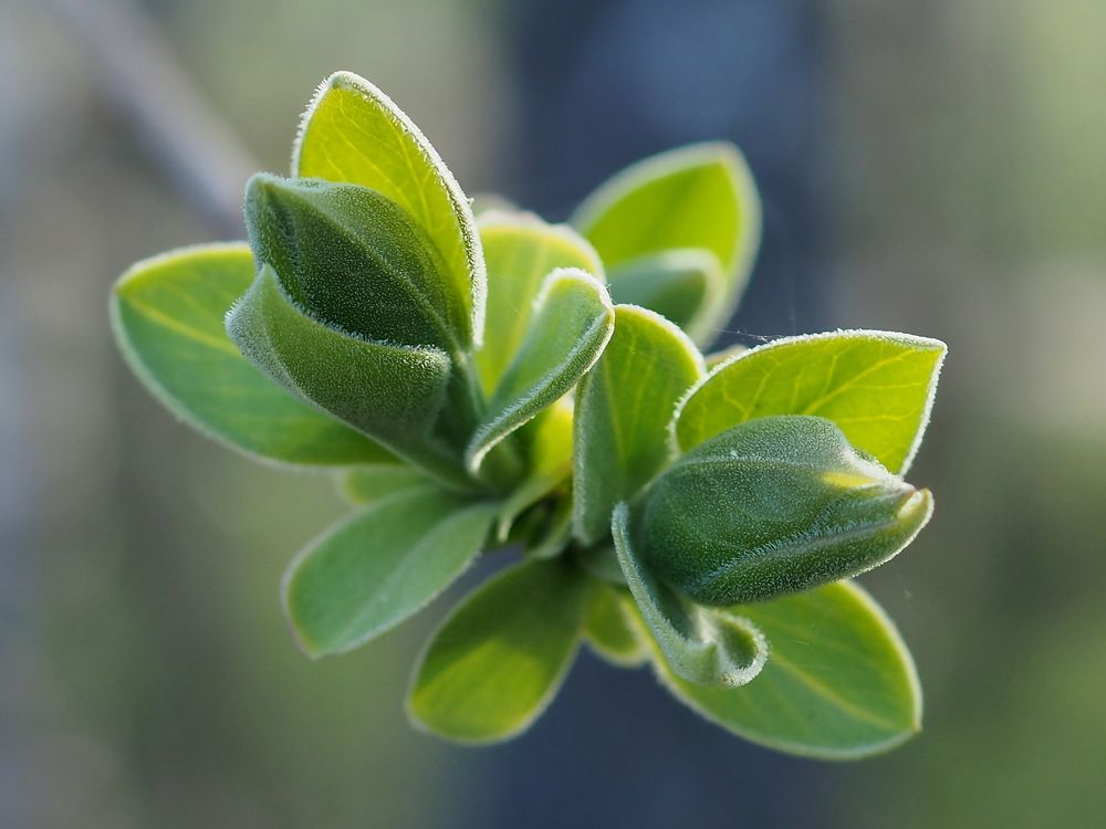 Photograph by Елена Харитонова