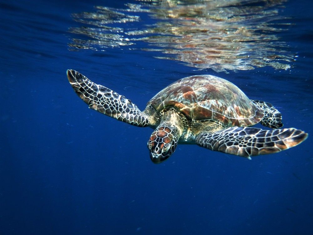 Photograph by Максимушкина Ольга