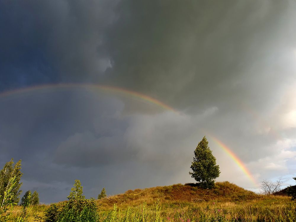 После грозы.