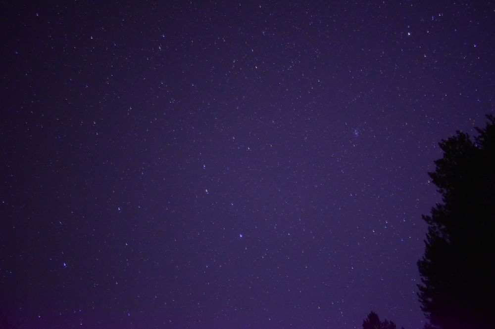 Photograph by Андрей Сухинин