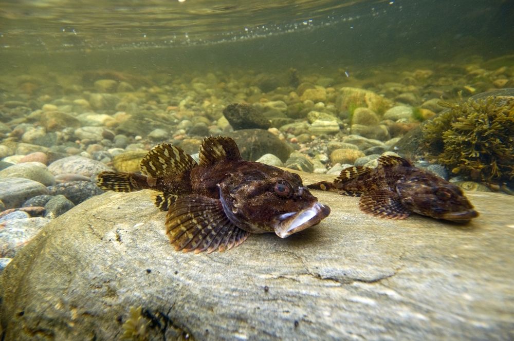 Photograph by Юрий Яковлев