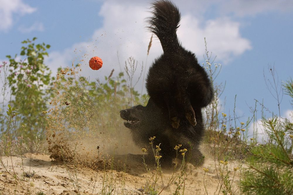 Даже сложный мяч - мой!