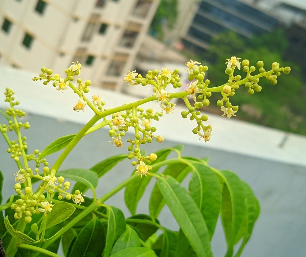 Photograph by Arif Islam