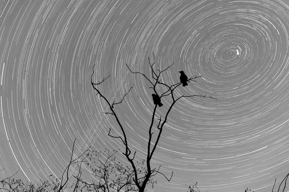 Photograph by Андрей Аксёнов