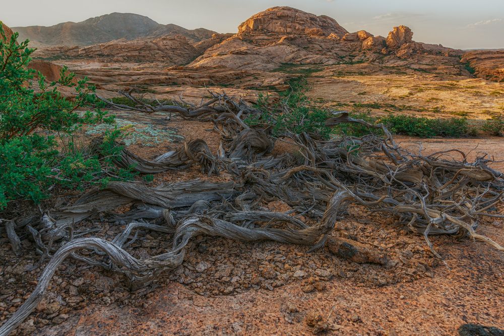 Photograph by Лазарев Сергей