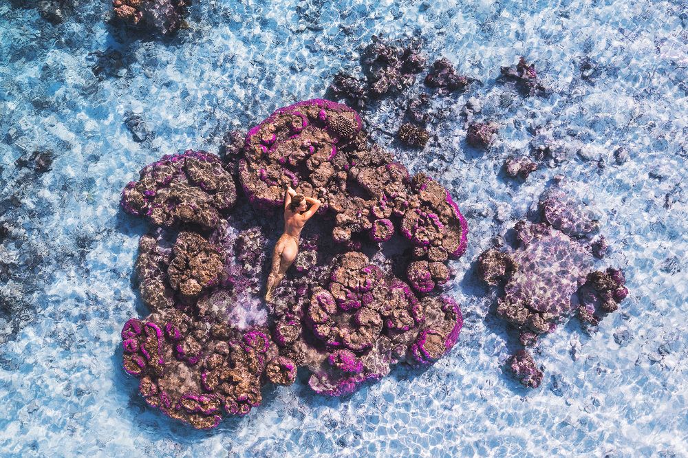 Siren of the Shallows