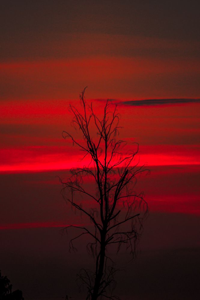 Photograph by Софья Кондакова