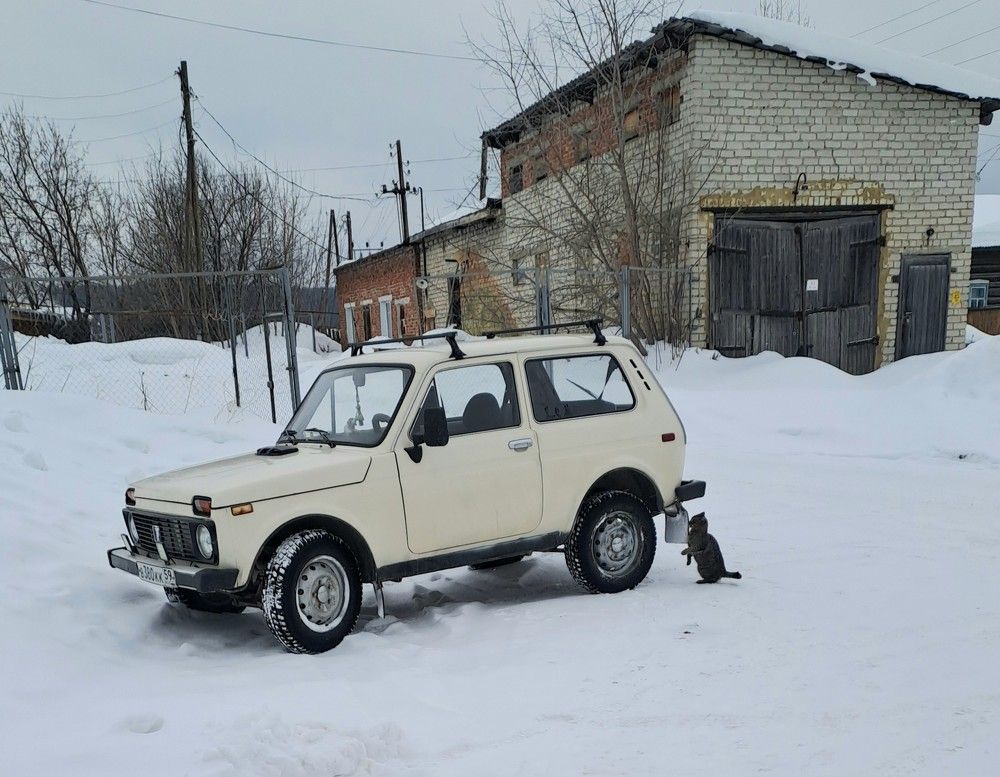 Photograph by Николай Худяков