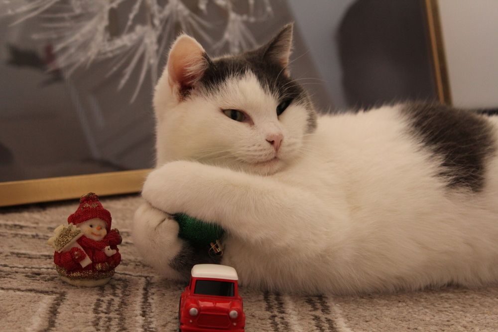 Photograph by Юлия Рыбинцева