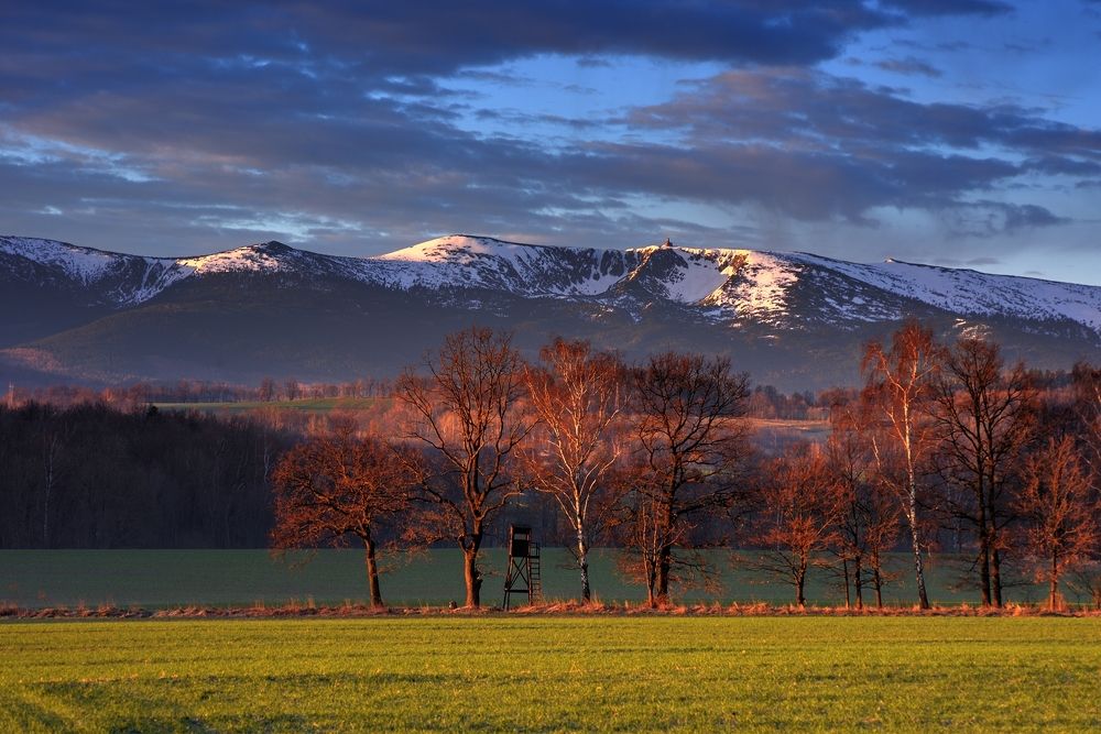 Photograph by Wydmuch Maciej