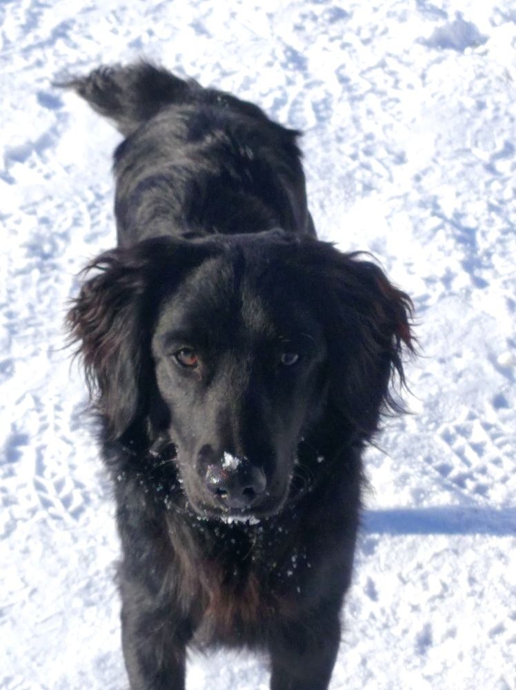 Photograph by Елена Коробченко