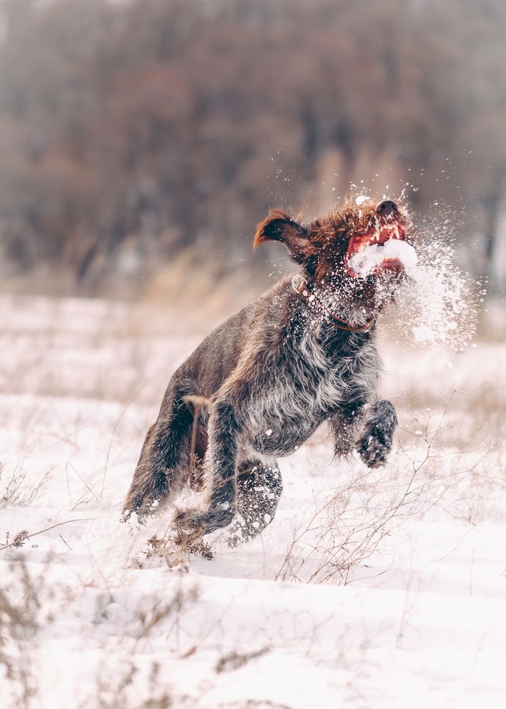 Photograph by Глущенко Ольга