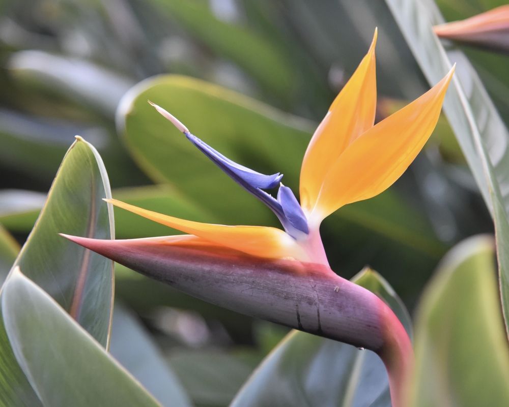 Photograph by Ольга Струкалина