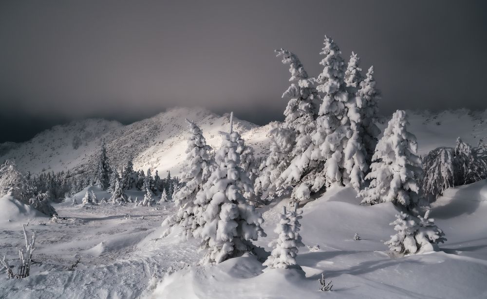 Снежная тишина