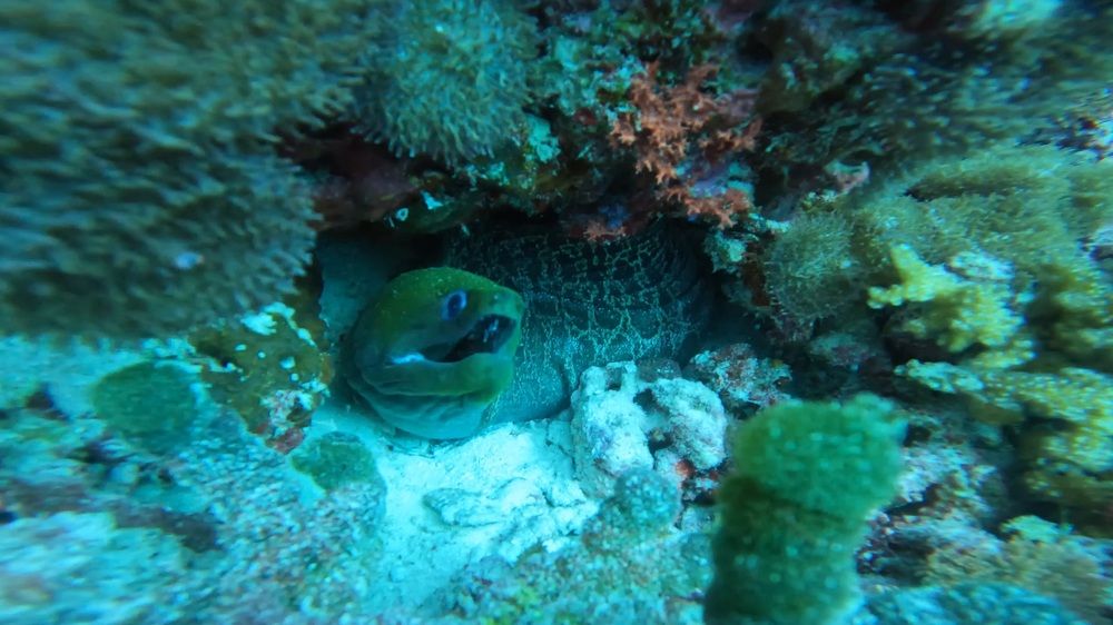 Photograph by Evgenii Askerov