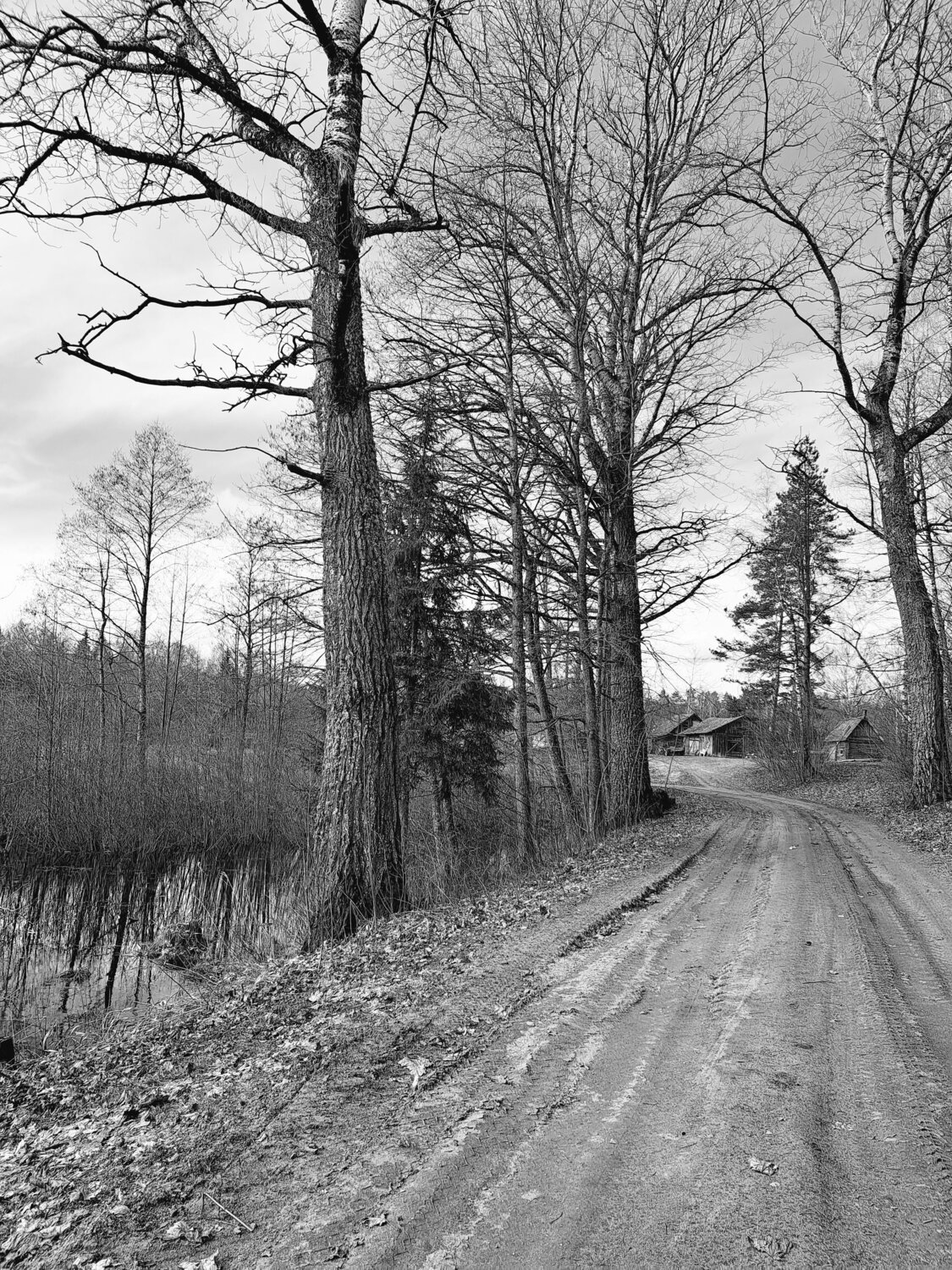 Photo #10496450