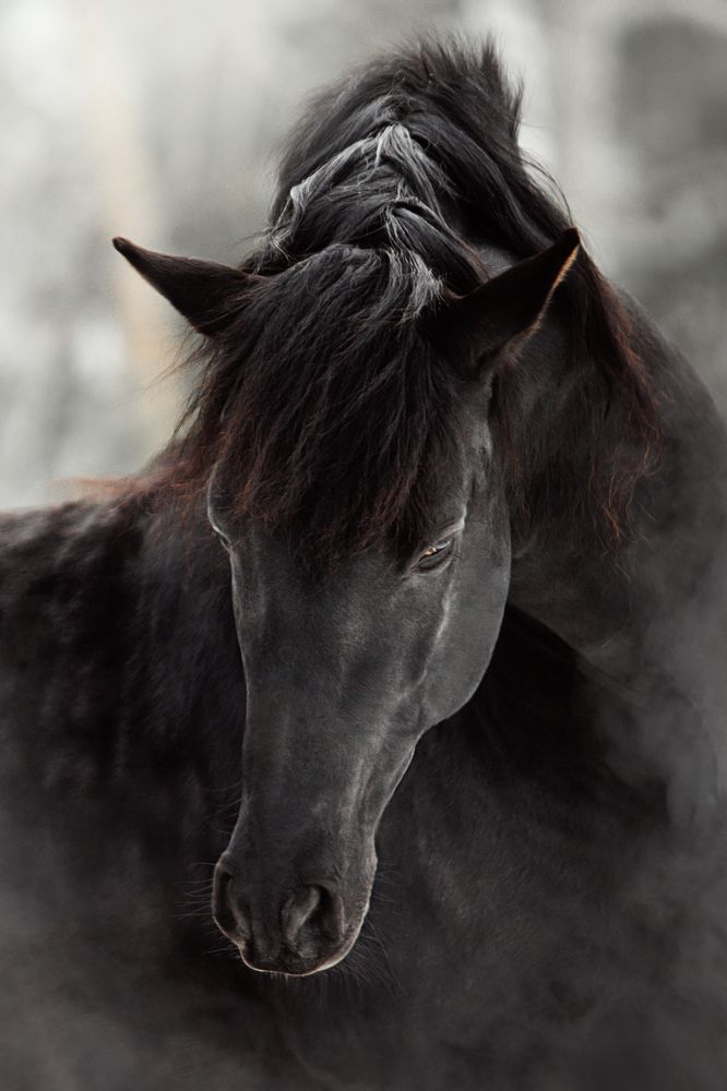 Photograph by Дарья Ералева