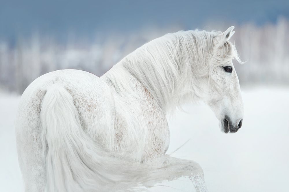 Photograph by Дарья Ералева