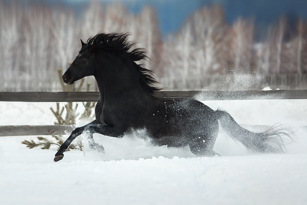 Photograph by Дарья Ералева