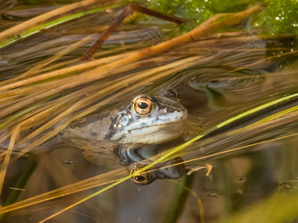 Фотография автора Lada