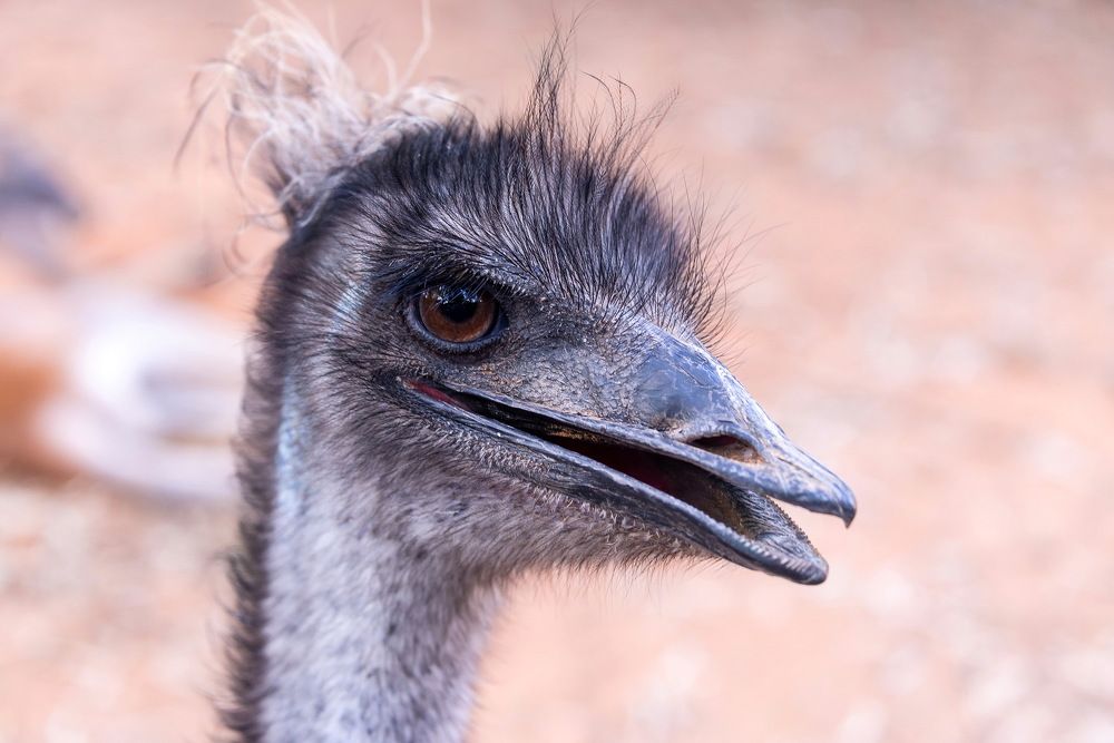 Photograph by Vladimir Bragilevsky