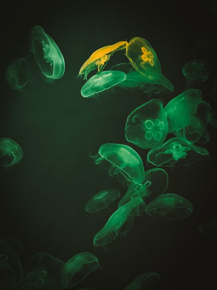 Photograph by Дарья Макаревич