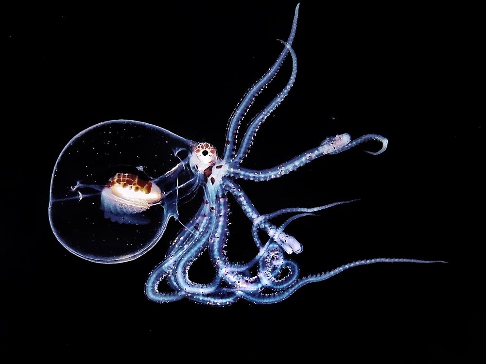 Photograph by Penn De Los Santos