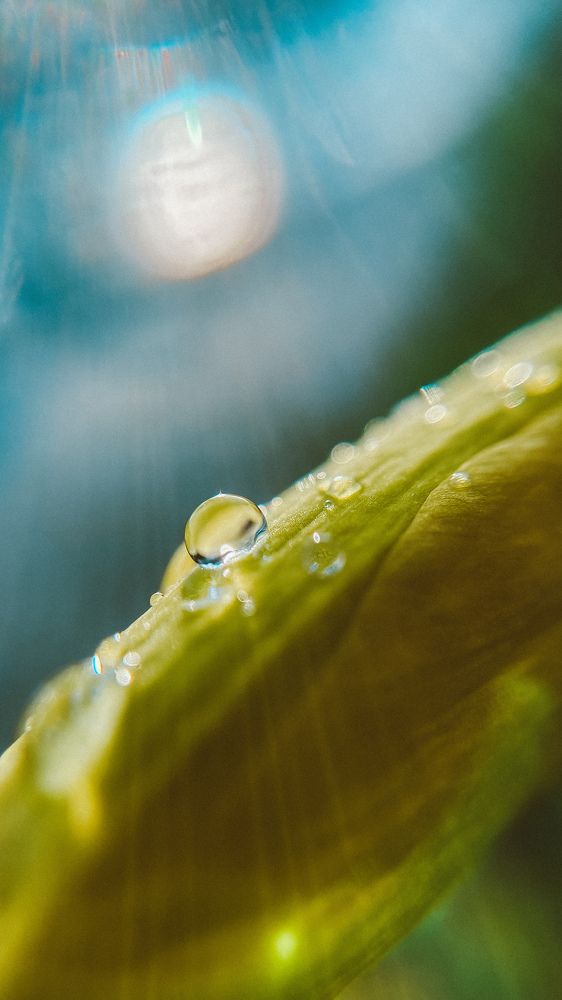 Photograph by Ольга Белостоцкая