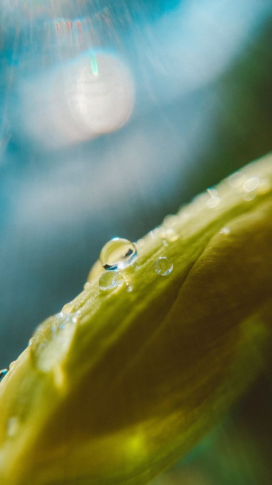 Photograph by Ольга Белостоцкая