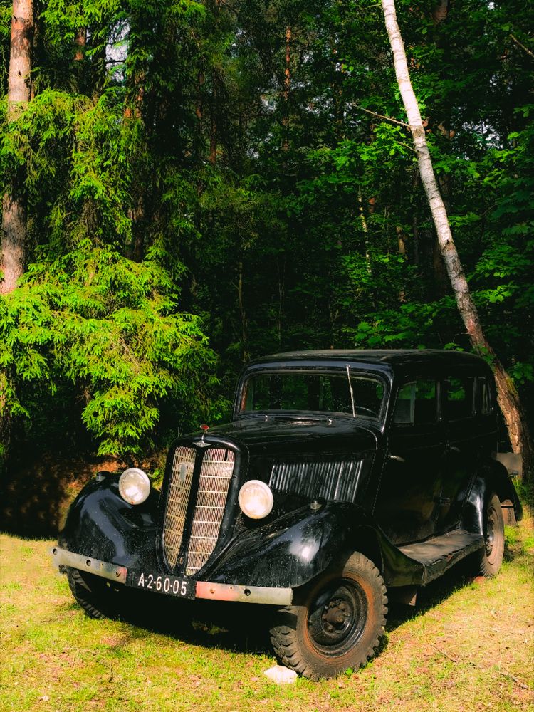 Photograph by Maria Stankevich