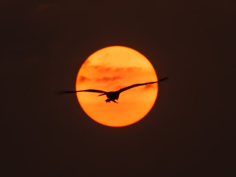 Photograph by Vipin P C