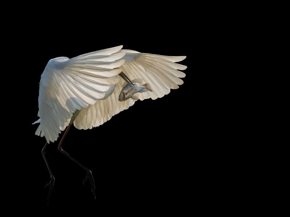 Photograph by Vipin P C