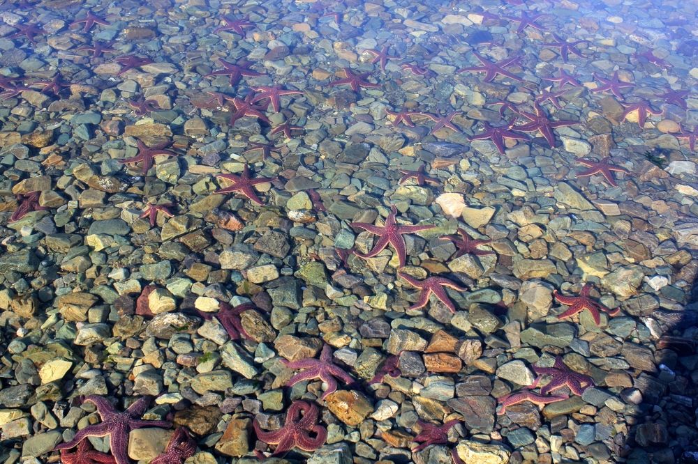 Photograph by Olga Bagaeva