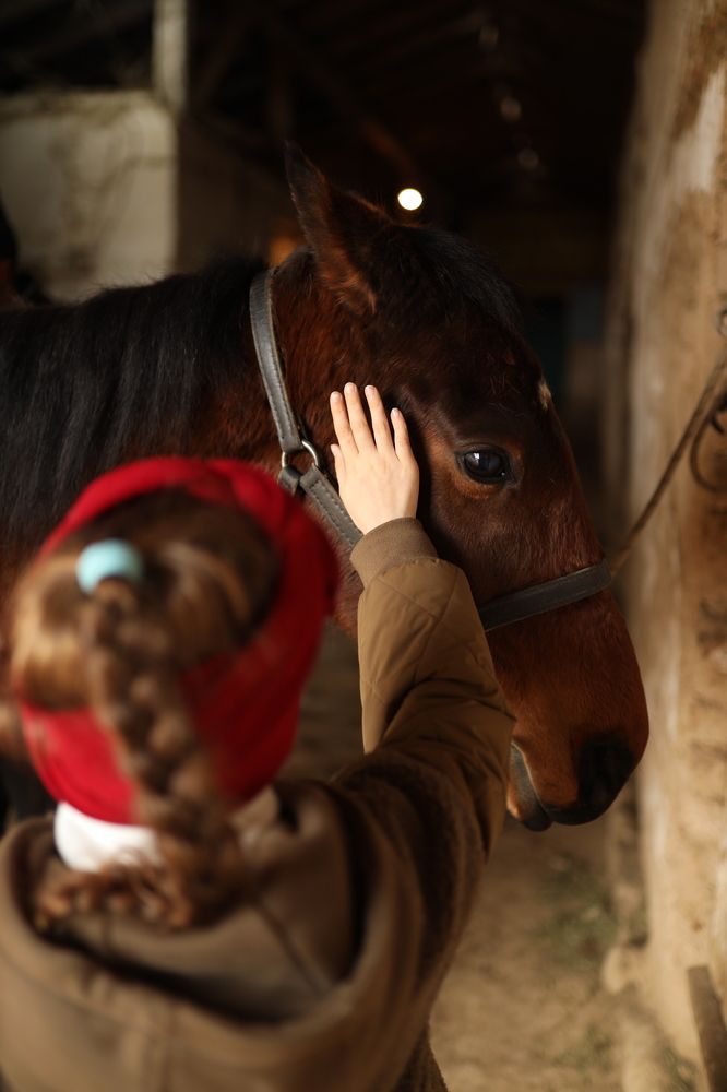 Photograph by Татьяна Лазарева