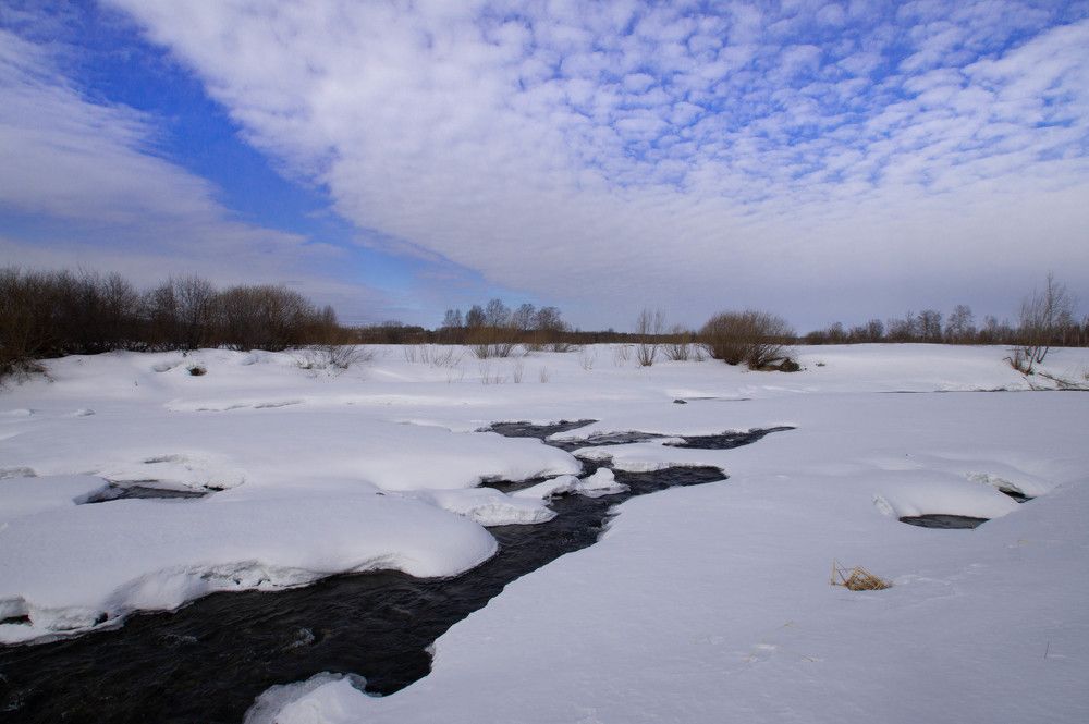 Photograph by Дубровин Николай