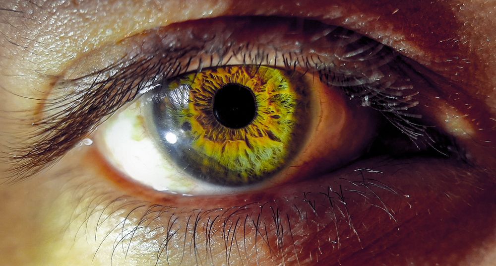 Фотография автора Omar Sana