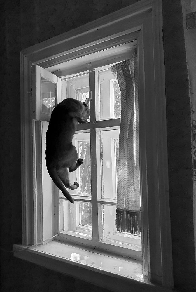 Photograph by Надежда Лисицына