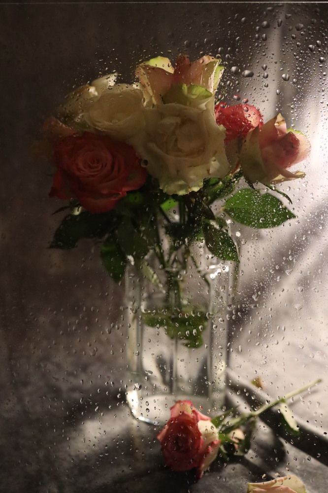 Photograph by Elena Kresova